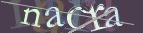 Please enter the letters you see here