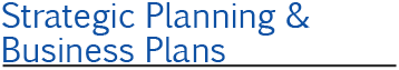 MSENG - Strategic Planning and Business Plans Title